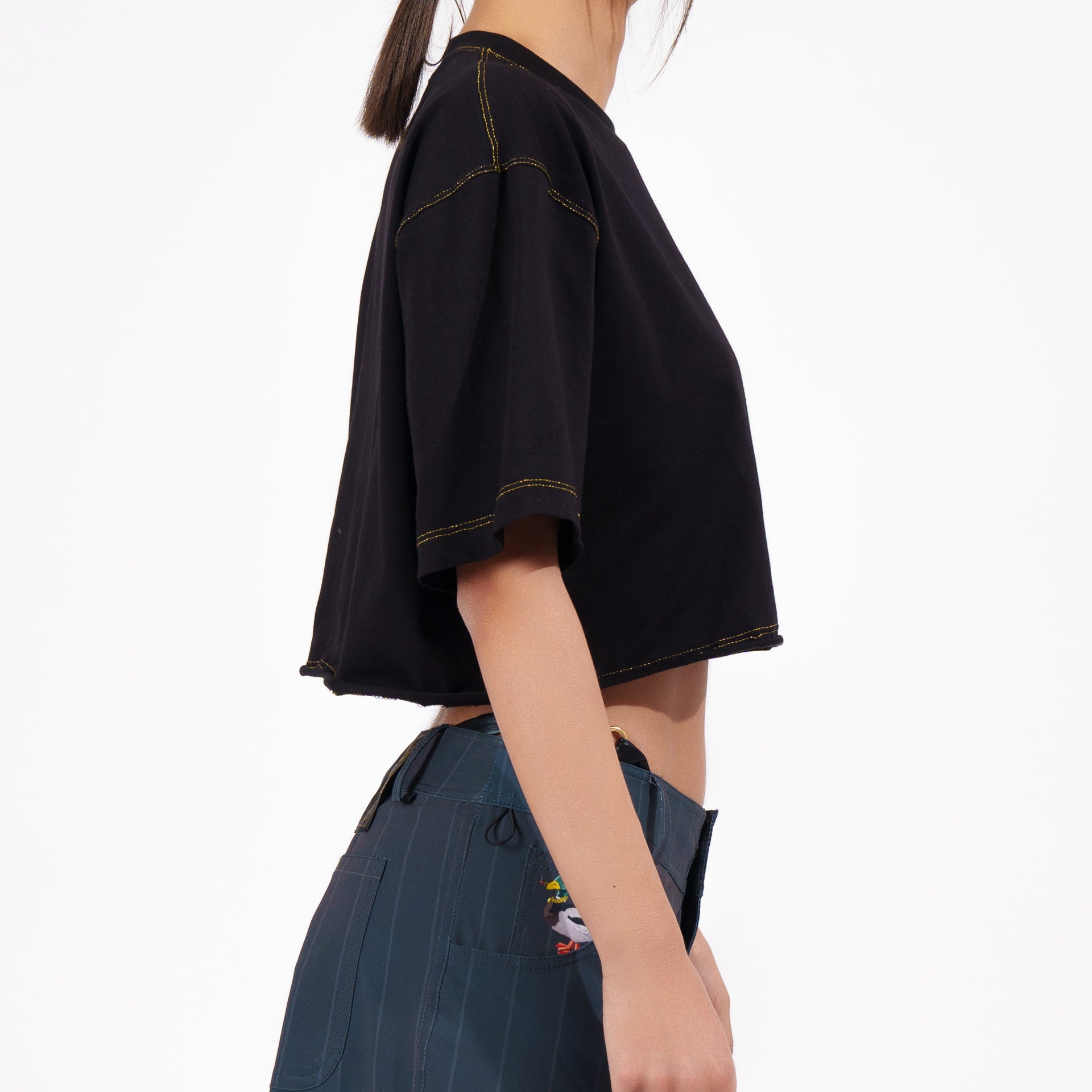 Chiaroscuro crop