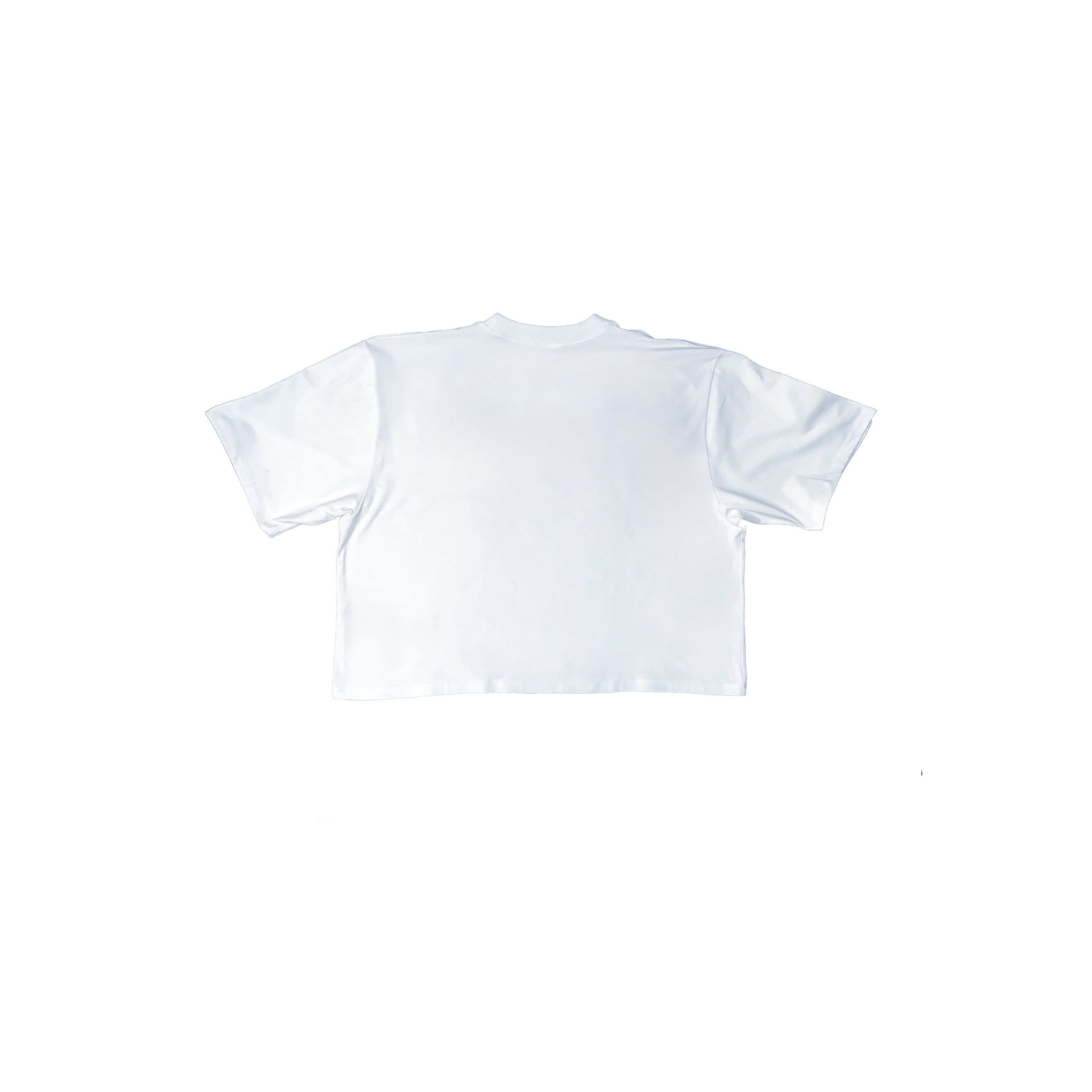 Crop T-Shirt