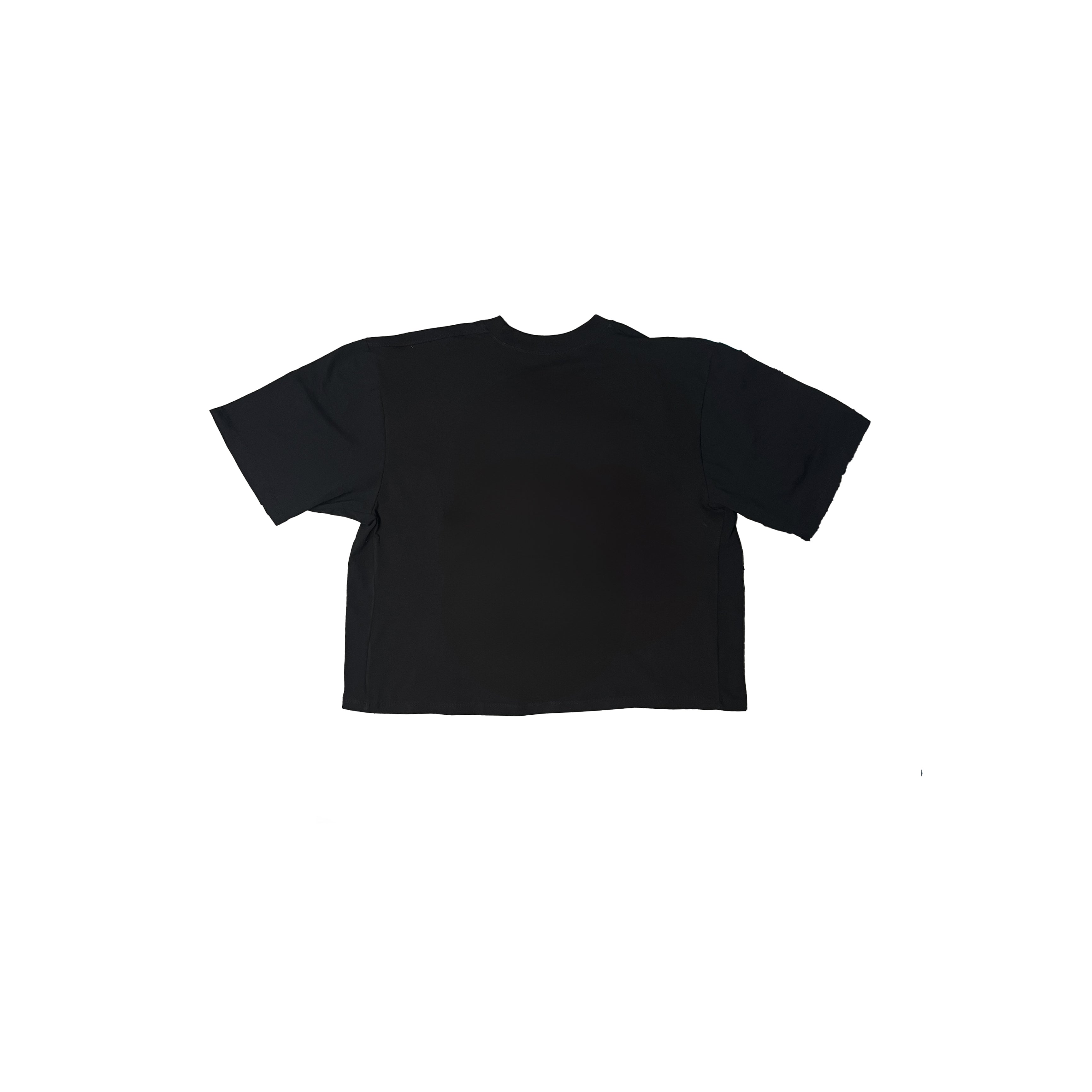 Crop T-Shirt