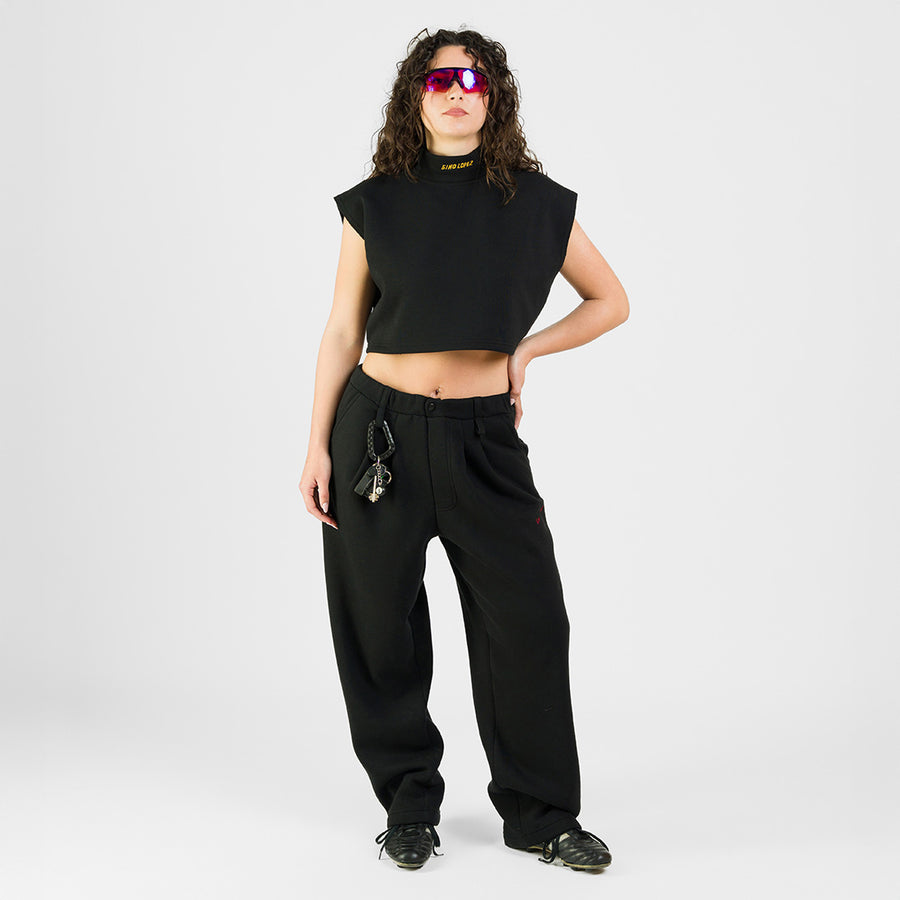 300 km/h Reversible top